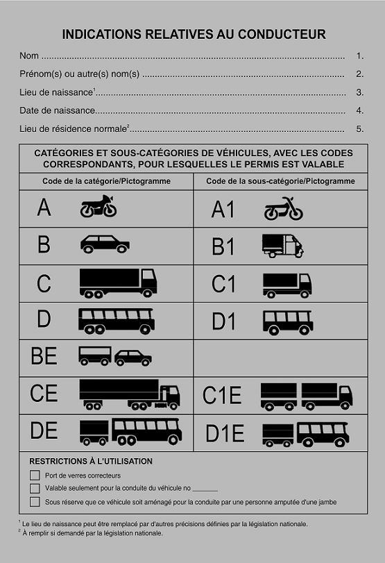 Croatia International Driving Permit Official Document